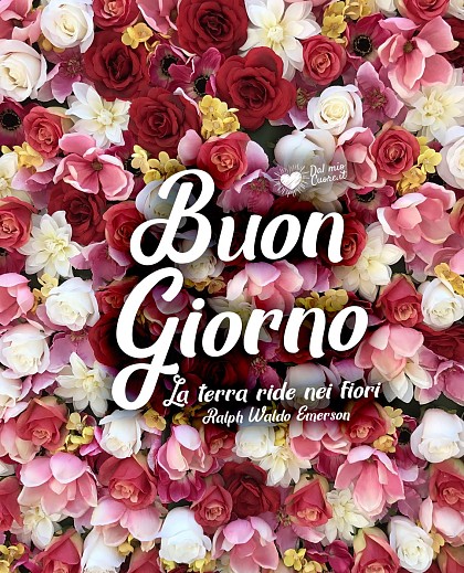 La terra ride nei fiori. Buongiorno