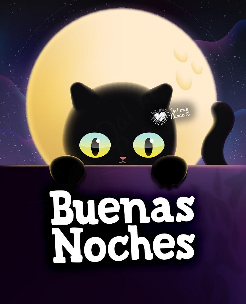 Buenas noches con el gatito y la luna llena