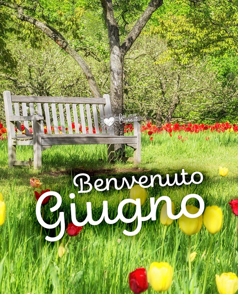 Benvenuto Giugno