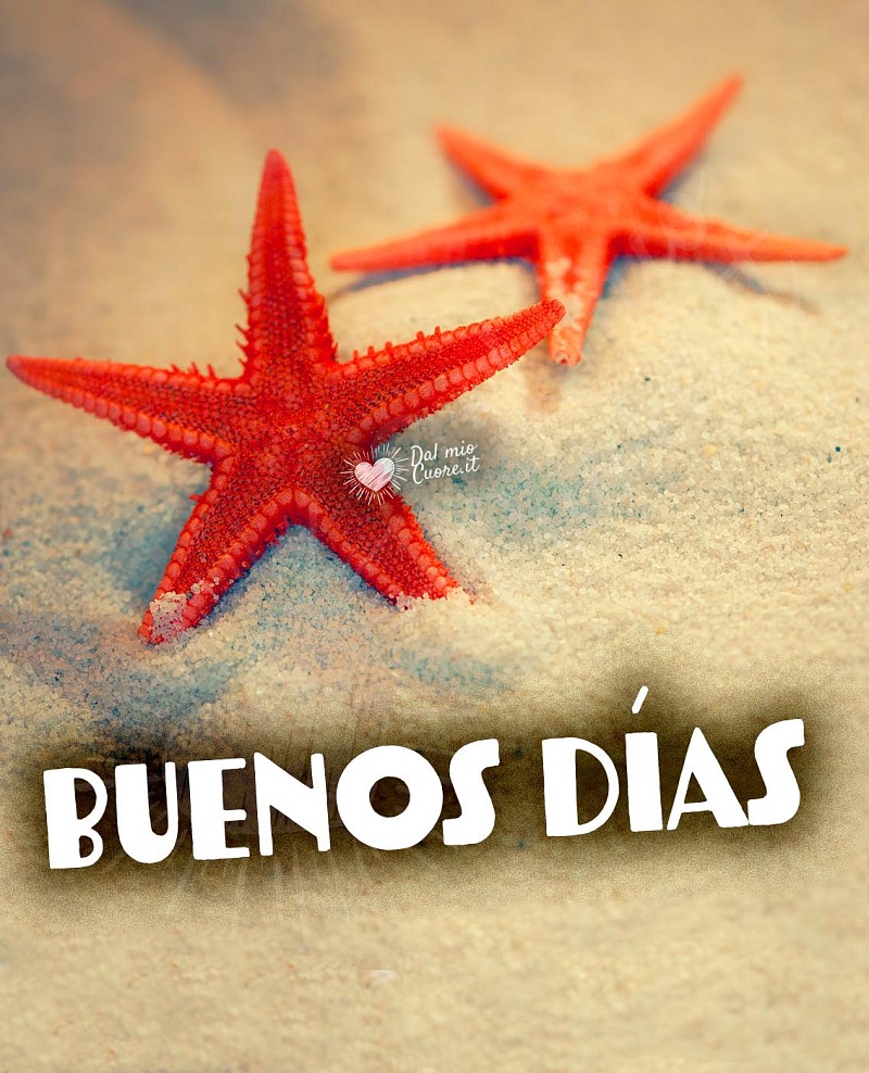 Buenos días con estrellas de mar