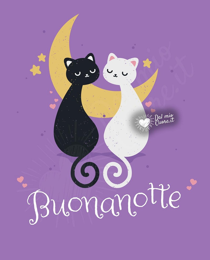 Buonanotte con mici e luna