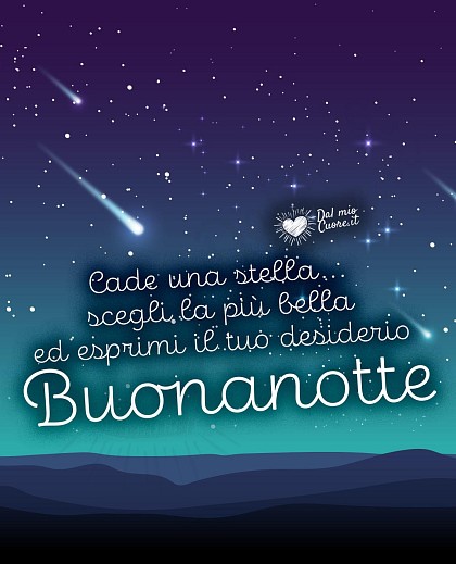 Cade una stella... scegli la più bella ed esprimi il tuo desiderio. Buonanotte
