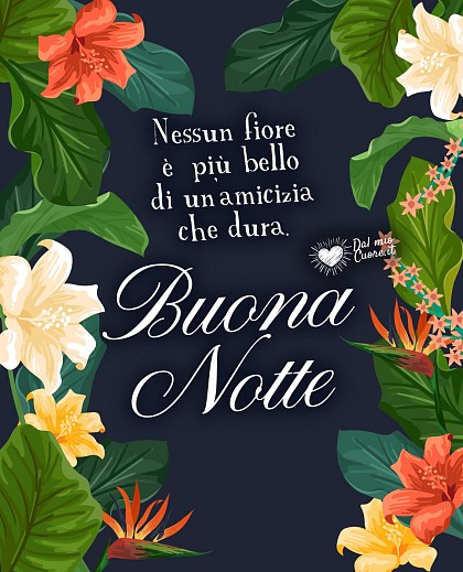 Nessun fiore è più bello di un’amicizia che dura. Buona Notte