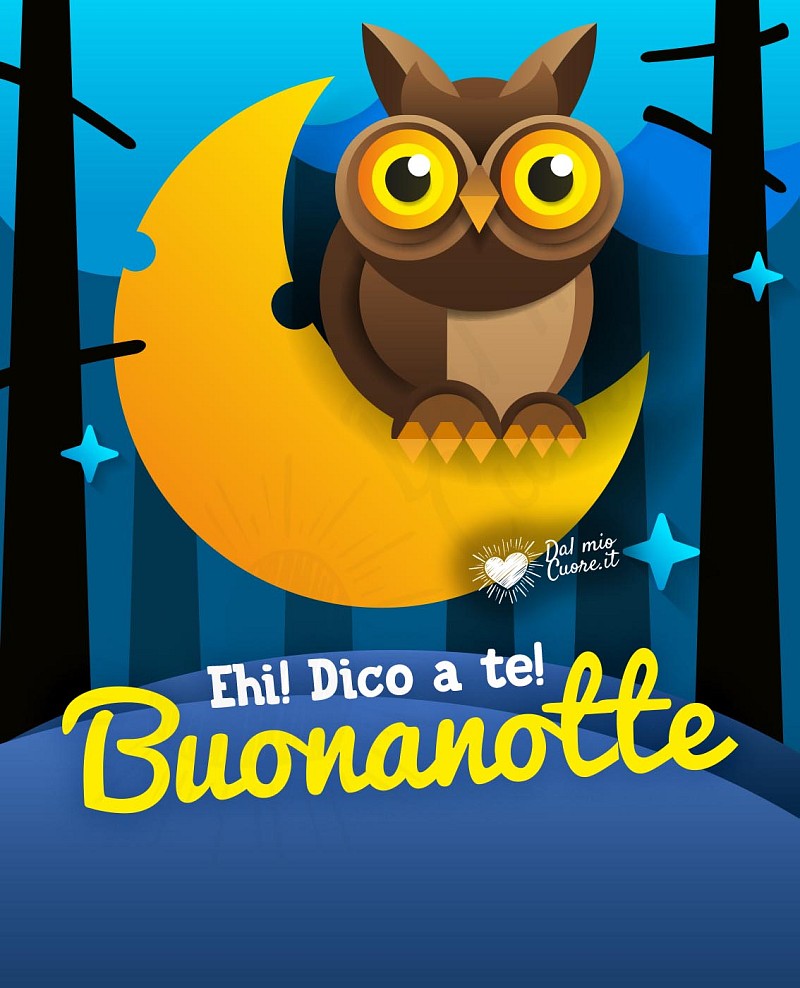 Ehi! Dico a te! Buonanotte
