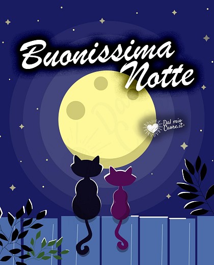 Buonissima notte (romantica con mici)