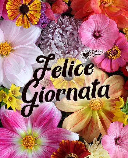Felice Giornata (Immagini con fiori)