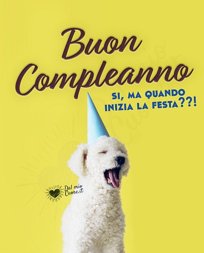 Quando inizia la festa? Buon compleanno (Immagini divertenti)