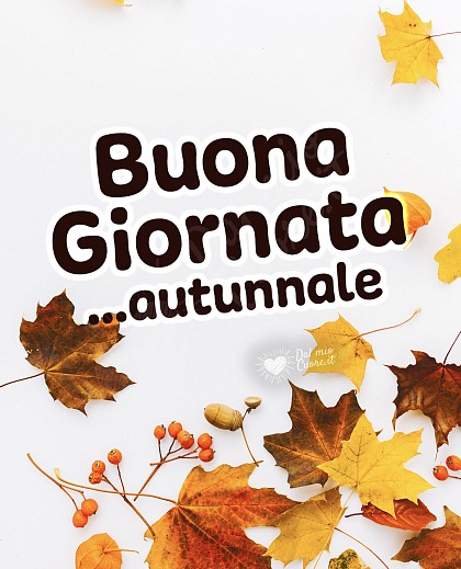 Buona giornata... autunnale