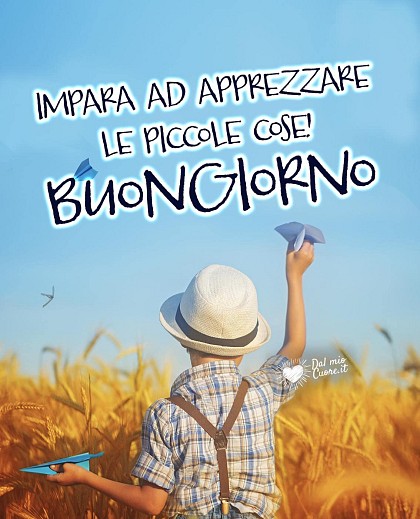 Grafica poetica e rilassante con dettagli naturali luminosi e la citazione del buongiorno Impara ad apprezzare le piccole cose.