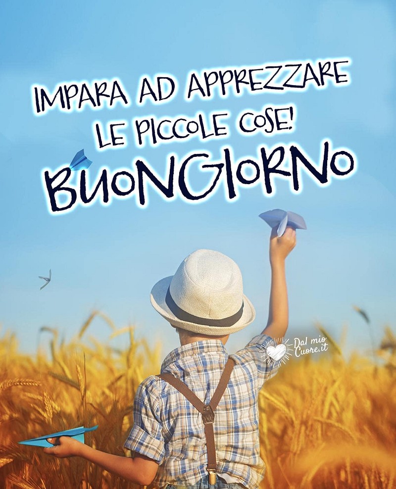 Buongiorno di Saggezza: Impara ad apprezzare le piccole cose