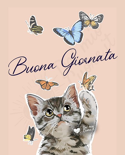 Buona giornata con gattino e farfalle