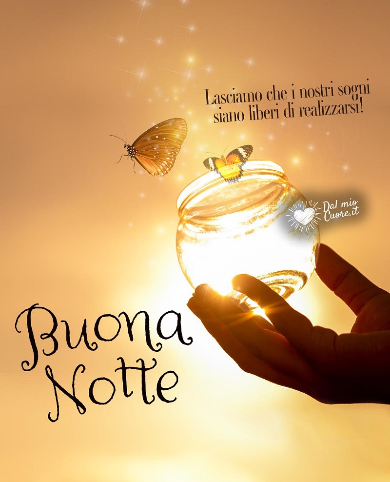 Lasciamo che i nostri sogni siano liberi di realizzarsi! Buona Notte