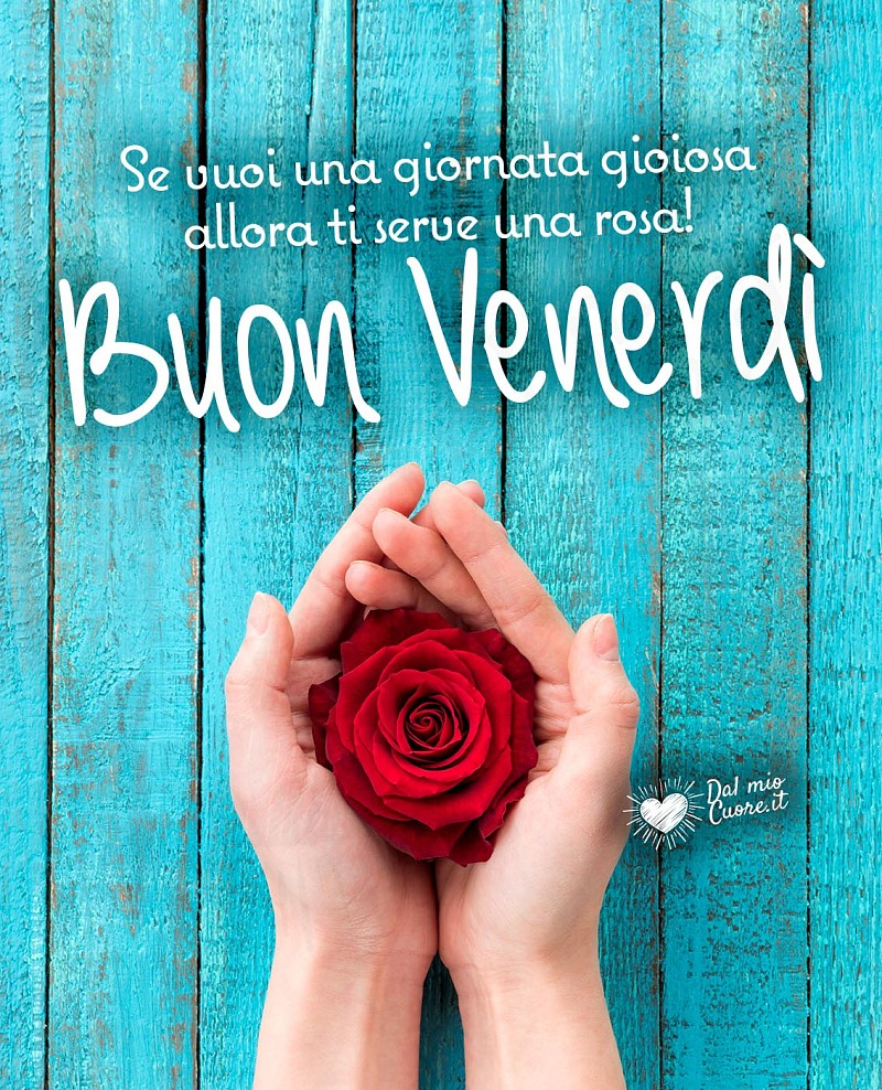 Buon venerdì! Se vuoi una giornata gioiosa allora ti serve una rosa!