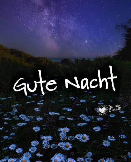 Gute Nacht mit Blumen und einem Sternenhimmel