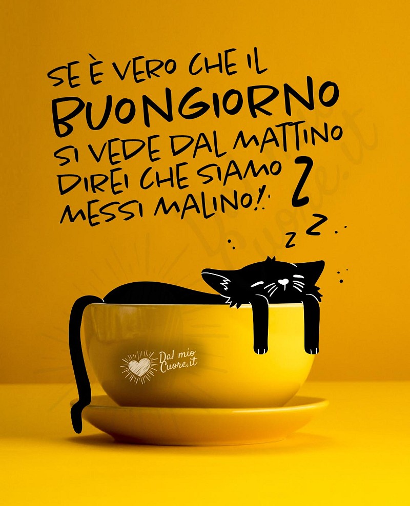 Se è vero che il buongiorno si vede dal mattino direi che siamo messi malino!
