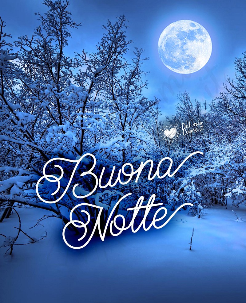 Buonanotte invernale con luna e neve