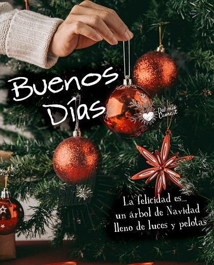 Buenos Días. La felicidad es... un árbol de Navidad lleno de luces y pelotas.