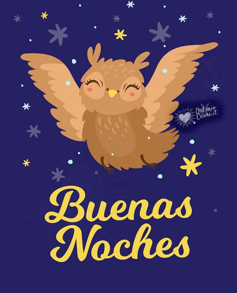 Buenas noches con búho