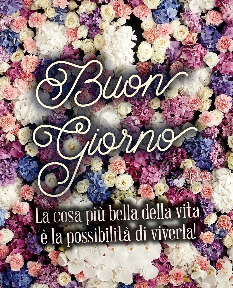 Buon Giorno. La cosa più bella della vita è la possibilità di viverla!