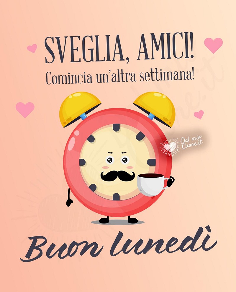 Buon lunedì. Sveglia amici! Comincia un'altra giornata!