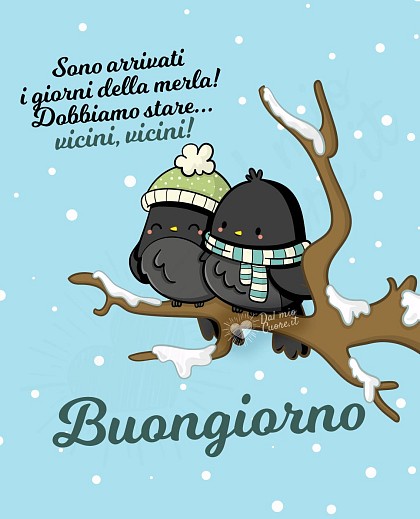 Buongiorno. Sono arrivati i giorni della merla! Dobbiamo stare... vicini, vicini!