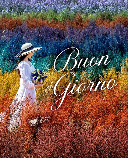 Imm Buongiorno con fiori e colori
