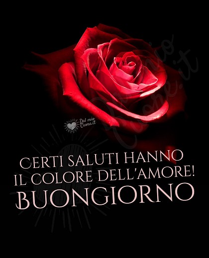 Buongiorno Romantico con frase: Certi saluti hanno il colore dell'amore!