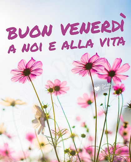 Buon Venerdì a noi e alla vita