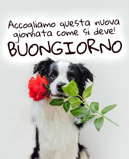 Buongiorno. Accogliamo questa nuova giornata come si deve!