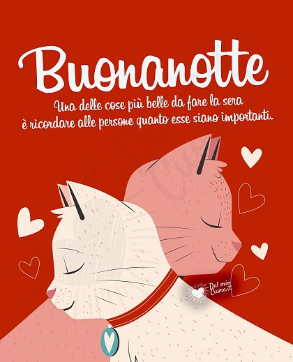 Buonanotte (frase). Una delle cose più belle da fare la sera è ricordare alle persone quanto esse siano importanti