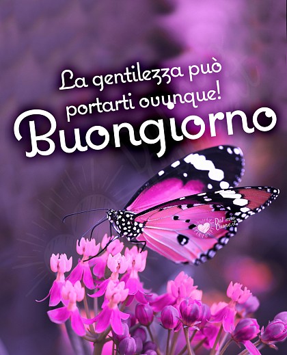 Buongiorno. La gentilezza può portarti ovunque!