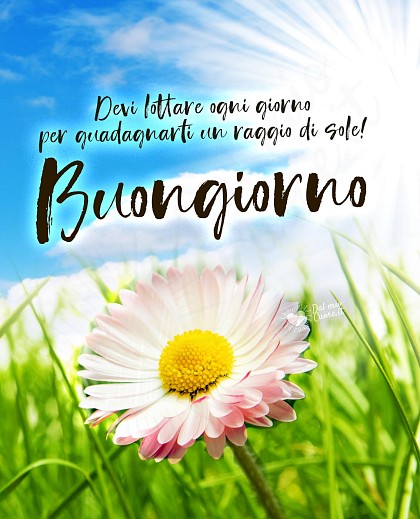 Buongiorno. Devi lottare ogni giorno per guadagnarti un raggio di sole!