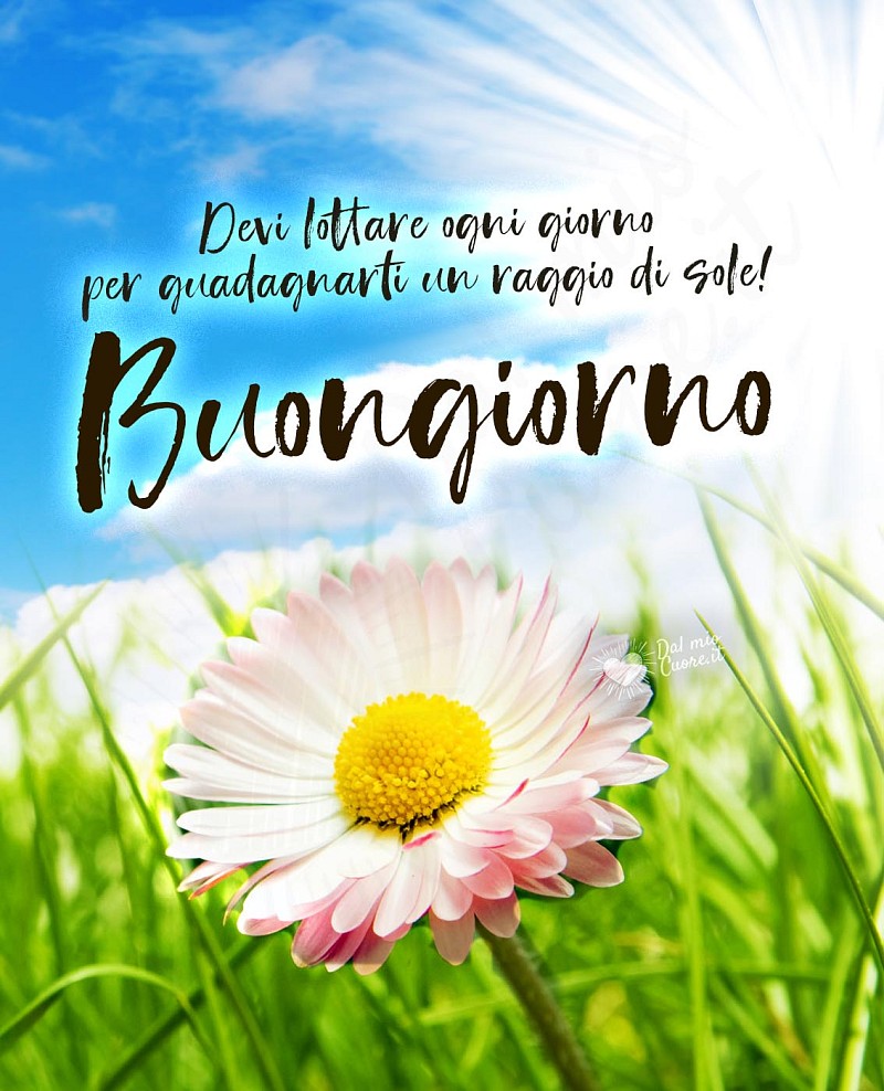 Buongiorno. Devi lottare ogni giorno per guadagnarti un raggio di sole!