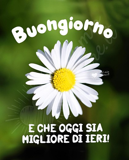 Buongiorno! E che oggi sia migliore di ieri!