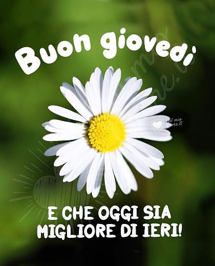 Buon giovedì! E che oggi sia migliore di ieri!
