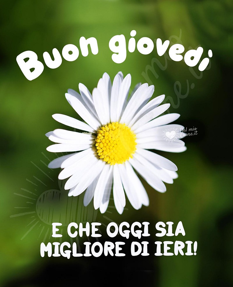 Buon giovedì! E che oggi sia migliore di ieri!