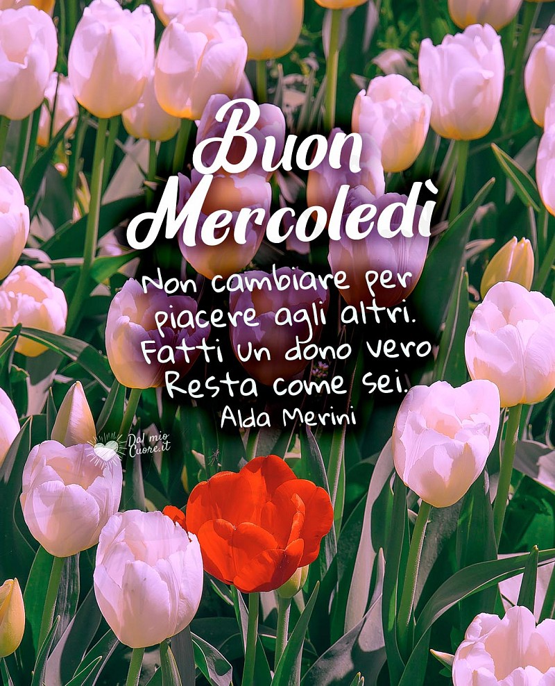 Buon mercoledì con fiori e frase di Alda Merini:... Resta come sei.