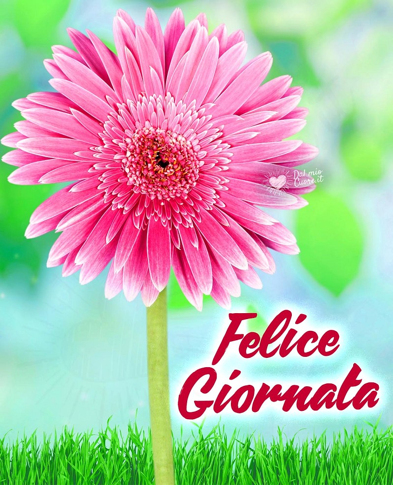 Felice Giornata con fiore di Gerbera