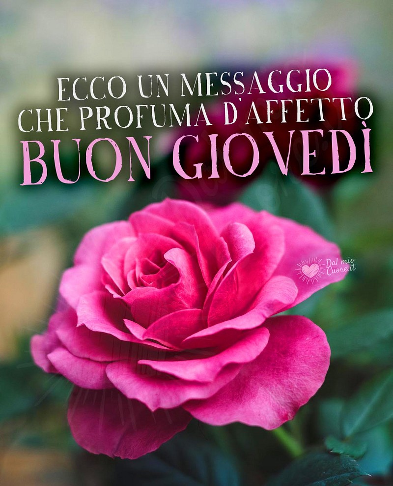 Ecco un messaggio che profuma d'affetto. Buon giovedì
