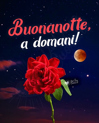 Buonanotte, a domani! Con rosa e luna