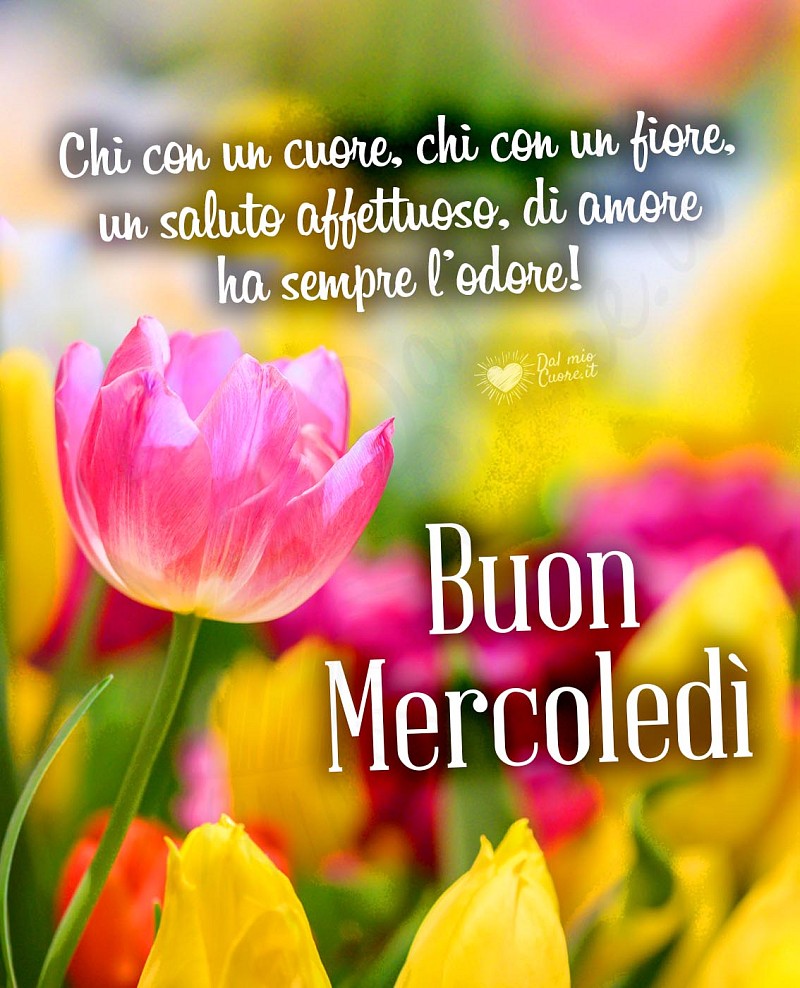 Buon mercoledì con fiori e frase