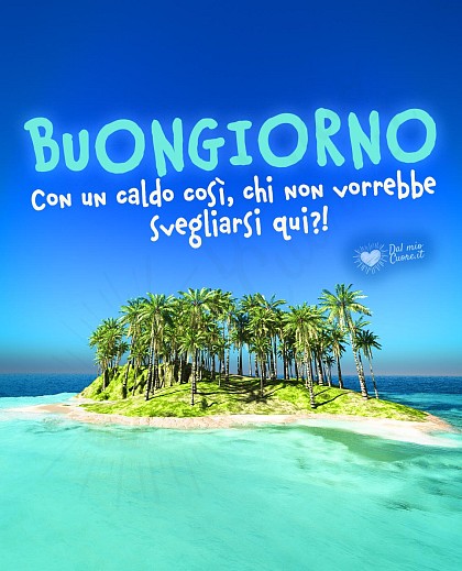 Con un caldo così, chi non vorrebbe svegliarsi qui?