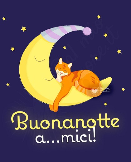 Buonanotte a...mici! Divertente con gatto