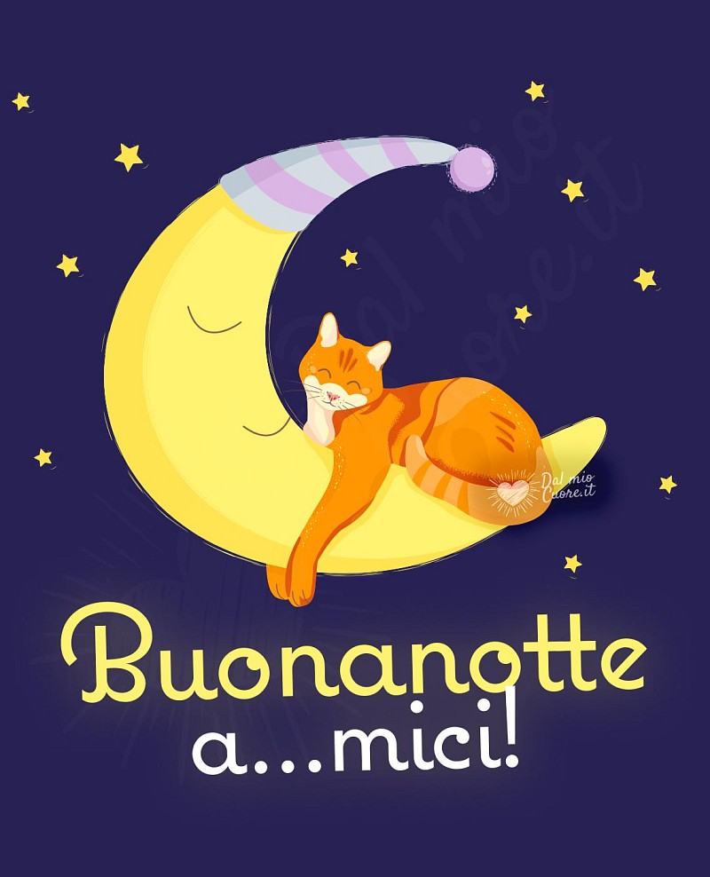 Buonanotte a...mici! Divertente con gatto