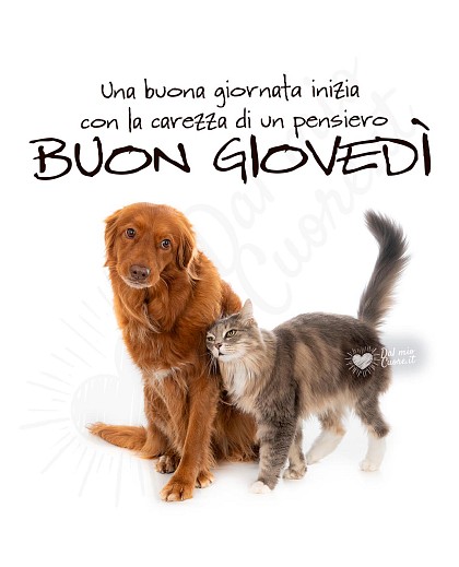 Buon giovedì con frase e gatto e cane che si fanno le coccole