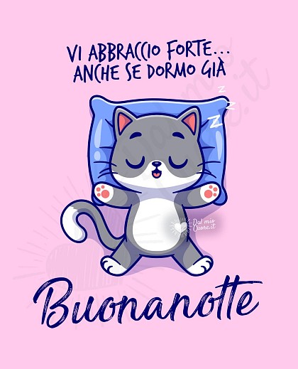 Gattino addormentato raggomitolato su un cuscino con la scritta Vi abbraccio forte... anche se dormo già. Buonanotte.