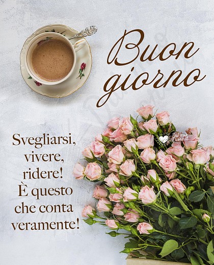 Svegliarsi, vivere, ridere! È questo che conta veramente. Frase del Buon giorno