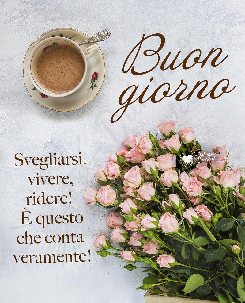 Svegliarsi, vivere, ridere! È questo che conta veramente. Frase del Buon giorno