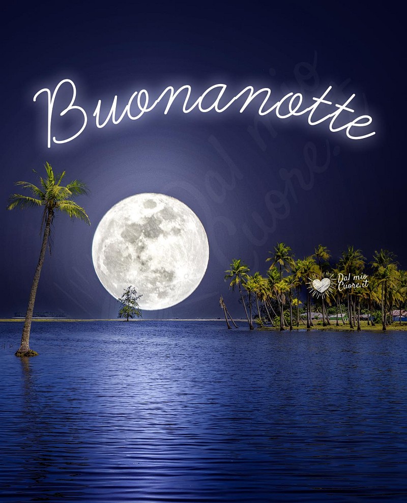 Buonanotte Rilassante con Luna Piena Riflessa sul Mare dell'Isola