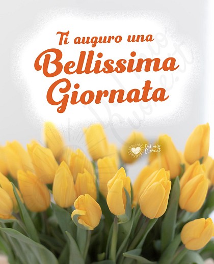 Ti auguro una bellissima giornata (con fiori)